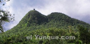 elyunque