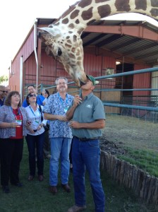 Giraffe at "The Dump"