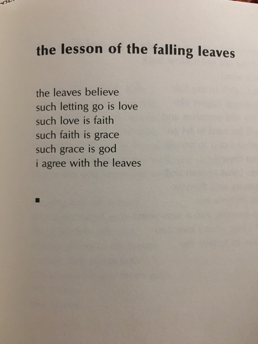 the lesson of the falling leaves by Lucille Clifton