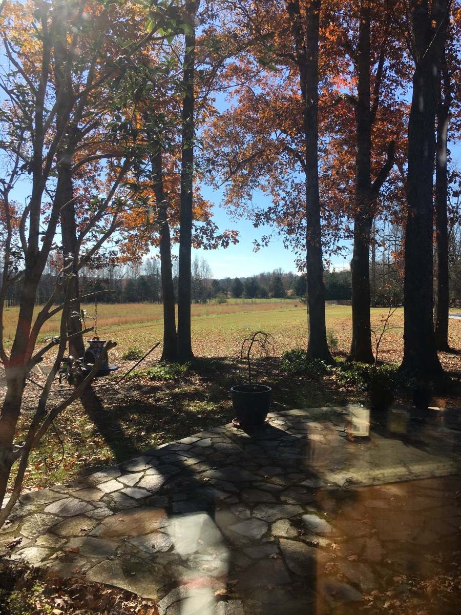 Trees with changing colors